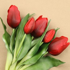 Силиконовые цветы Тюльпаны Piccola Ragazza 5 шт, 28 см темно-красные EDG фото 2
