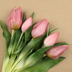 Силиконовые цветы Тюльпаны Piccola Ragazza 5 шт, 28 см бледно-розовые EDG фото 2