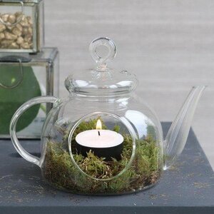 Декоративный флорариум Чайник The Lumiere 14 см, стекло (Ideas4Seasons, Нидерланды). Артикул: 28091