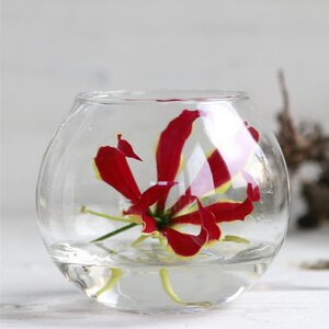 Стеклянная ваза Teramira 10 см Ideas4Seasons фото 1