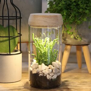 Стеклянная ваза для флорариума и композиций Lokrum 18 см с подсветкой, на батарейках (Ideas4Seasons, Нидерланды). Артикул: 30180