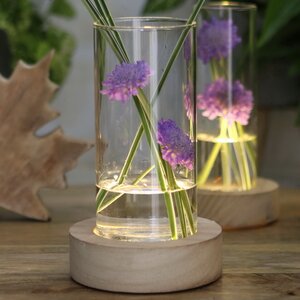 Стеклянная ваза с подсветкой Lokrum 17 см, на батарейках Ideas4Seasons фото 5