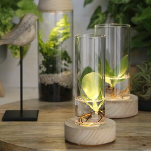 Стеклянная ваза с подсветкой Lokrum 17 см, на батарейках Ideas4Seasons фото 4