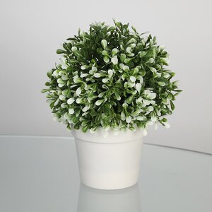 Искусственное растение в горшке Erba Bianca 20 см (Koopman, Нидерланды). Артикул: 317002500-1