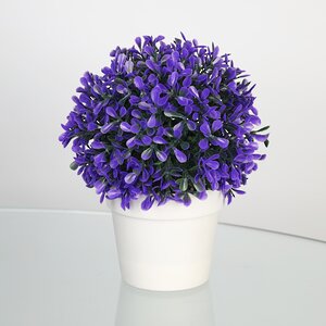Искусственное растение в горшке Erba Viola Scuro 20 см (Koopman, Нидерланды). Артикул: 317002500-4
