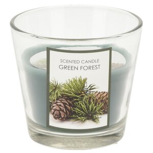 Ароматическая свеча Green Forest 8 см, в стеклянном стакане (Koopman, Нидерланды). Артикул: 420900180-2