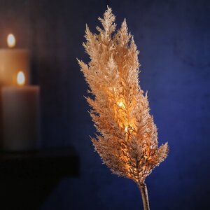 Светящаяся ветка для декора Pampas Caramel 70 см, теплые белые LED, на батарейках (Kaemingk, Нидерланды). Артикул: ID76337