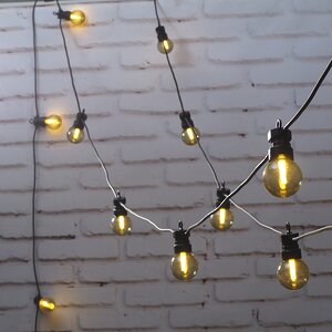 Гирлянда Лампочки Дымчатые, 20 ламп, теплые белые LED, 9.5 м, черный ПВХ, соединяемая, IP44 (Kaemingk, Нидерланды). Артикул: ID56417