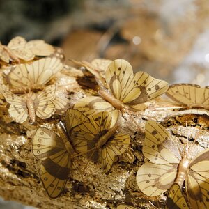 Набор декоративных украшений Gold Butterfly, 10 шт, клипса Kaemingk фото 7