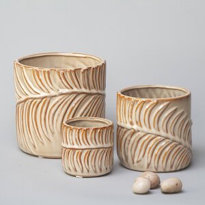 Набор керамических кашпо Modern Jungle: Amber 7-14 см, 3 шт Kaemingk фото 4