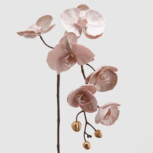 Искусственная ветка Орхидея 79 см светло-розовая EDG фото 1