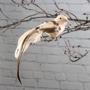 Елочное украшение Женевская пташка 15 см перламутровая, клипса