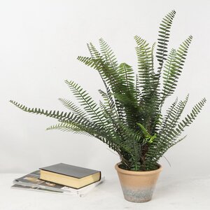 Искусственное растение в горшке Папоротник Виреус 60 см Kaemingk фото 1