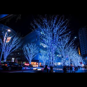 Гирлянды на дерево Клип Лайт - Спайдер 100 м, 900 синих LED, черный СИЛИКОН, IP54 (BEAUTY LED, Россия). Артикул: KFT900-2W11-1B