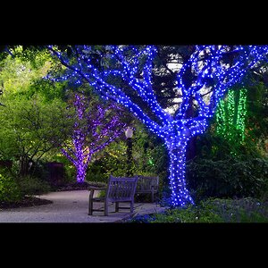 Гирлянды на деревья Клип Лайт Quality Light 60 м, 600 синих LED ламп, черный ПВХ, IP44 BEAUTY LED фото 1