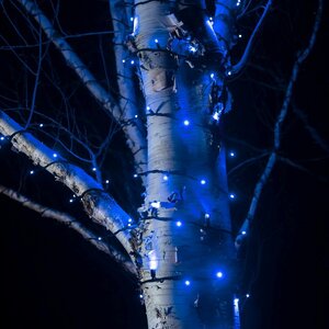 Клип Лайт - Спайдер Quality Light 100 м, 1000 синих LED ламп, черный ПВХ, IP44 (BEAUTY LED, Россия). Артикул: CL-LED-200*5-20M*5/11B