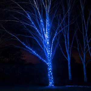 Гирлянды на дерево Клип Лайт Quality Light 100 м, 1000 синих LED ламп, черный ПВХ, IP44