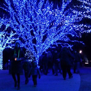 Гирлянды на дерево Клип Лайт Quality Light 100 м, 1000 синих LED ламп, прозрачный ПВХ, IP44 BEAUTY LED фото 1