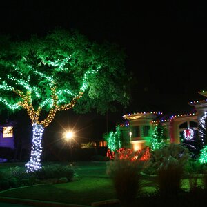Гирлянды на дерево Клип Лайт Quality Light 60 м, 600 зеленых LED ламп, с мерцанием, прозрачный ПВХ, IP44 BEAUTY LED фото 3