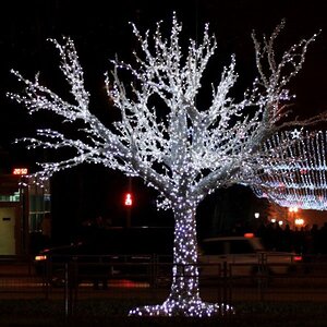 Гирлянды на дерево Клип Лайт Quality Light 30 м, 300 холодных белых LED ламп, прозрачный ПВХ, IP44 (BEAUTY LED, Россия). Артикул: CL-LED-30-300-10W