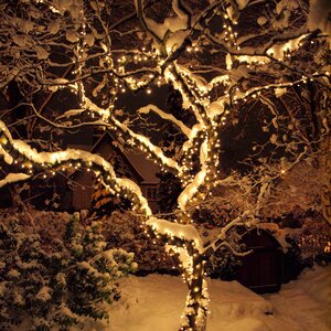 Гирлянды на дерево Клип Лайт Quality Light 60 м, 600 теплых белых LED ламп, прозрачный ПВХ, IP44 BEAUTY LED фото 1