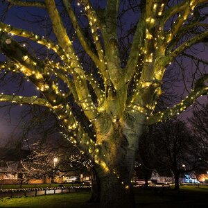 Гирлянды на дерево Клип Лайт Quality Light 60 м, 600 желтых LED ламп, черный ПВХ, IP44 BEAUTY LED фото 1