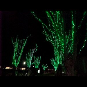 Гирлянды на деревья Клип Лайт - Спайдер 60 м, 600 зеленых LED ламп, черный ПВХ, IP44 (BEAUTY LED, Россия). Артикул: LED-BW-200*3-20M*3-24V-G-зеленый