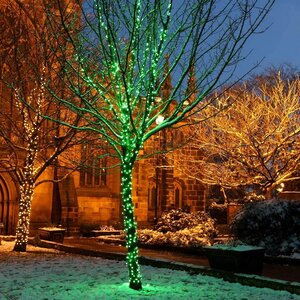 Клип Лайт - Спайдер Quality Light 30 м, 300 зеленых LED ламп, с мерцанием, прозрачный ПВХ, IP44