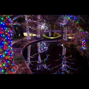 Гирлянды на дерево Клип Лайт Legoled 60 м, 450 разноцветных LED, черный КАУЧУК, IP54 BEAUTY LED фото 3