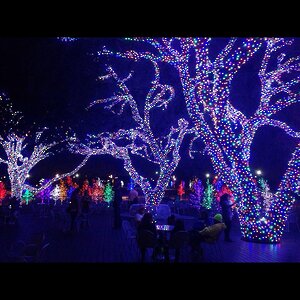 Гирлянды на дерево Клип Лайт Legoled 30 м, 225 разноцветных LED, черный КАУЧУК, IP54 BEAUTY LED фото 4