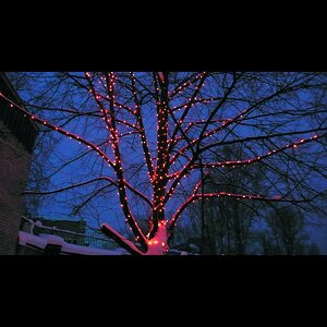 Гирлянды на дерево Клип Лайт Quality Light 100 м, 1000 красных LED ламп, черный ПВХ, IP44 BEAUTY LED фото 2