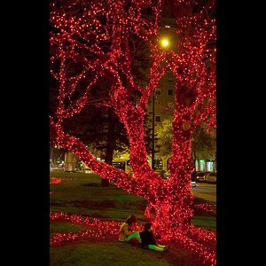 Гирлянды на дерево Клип Лайт Quality Light 100 м, 1000 красных LED ламп, черный ПВХ, IP44