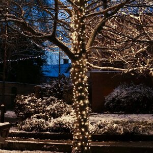 Клип Лайт - Спайдер Quality Light 30 м, 300 теплых белых LED, с холодным мерцанием, прозрачный ПВХ, IP44 BEAUTY LED фото 1