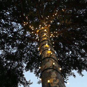 Гирлянды на деревья Клип Лайт Quality Light 100 м, 1000 теплых белых LED ламп, черный ПВХ, IP44 (BEAUTY LED, Россия). Артикул: CL-LED-100-1000-WW-2