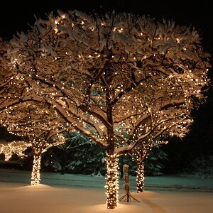 Гирлянды на дерево Клип Лайт Quality Light 100 м, 1000 теплых белых LED ламп, черный ПВХ, IP44