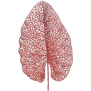 Декоративный лист Ажурная Калатея 67 см красный Koopman фото 1