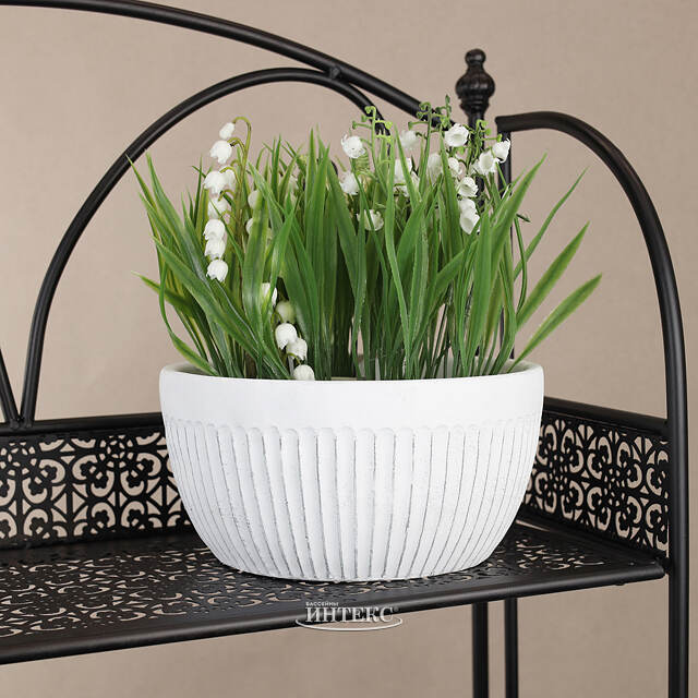 Декоративное кашпо Долла Кротоне 20*12 см Koopman (Купман)