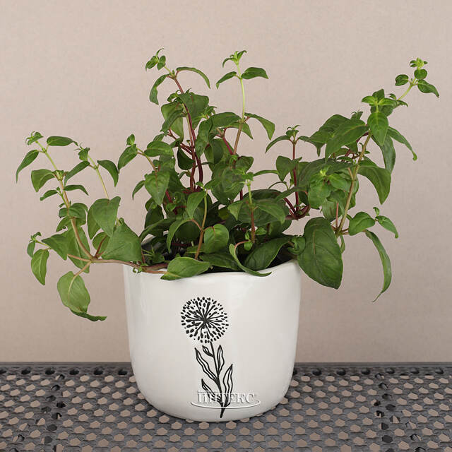 Декоративное кашпо Одуванчик 15 см, фарфор Koopman