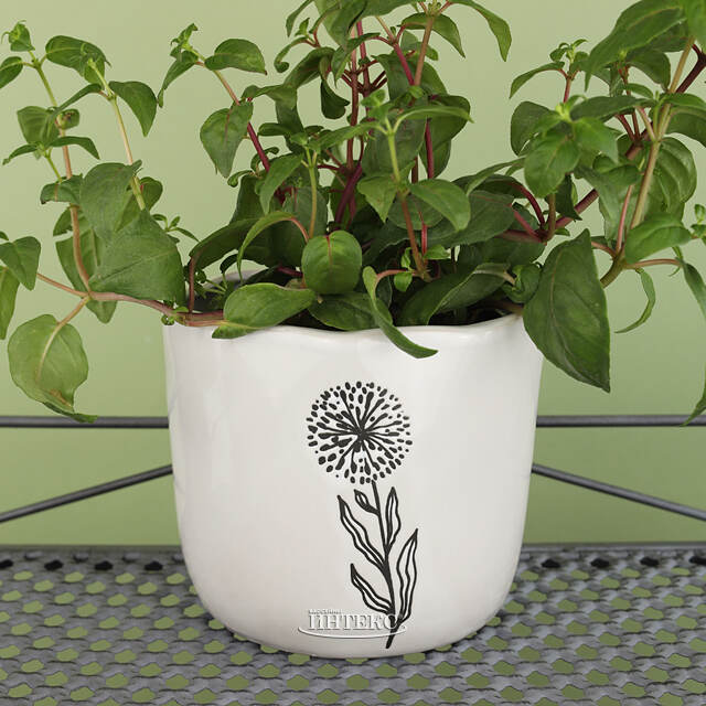 Декоративное кашпо Одуванчик 15 см, фарфор Koopman