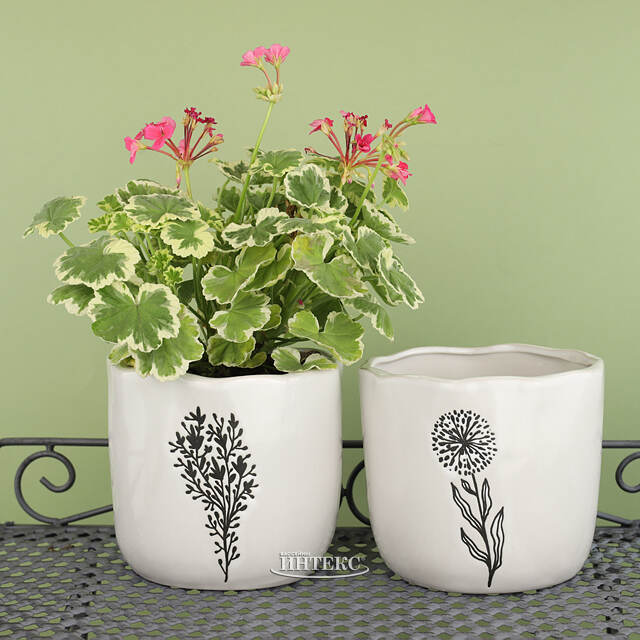 Декоративное кашпо Одуванчик 15 см, фарфор Koopman