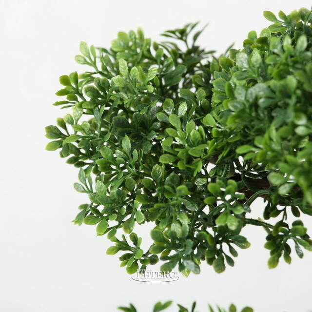 Искусственный бонсай Зантоксилум 33 см Boltze