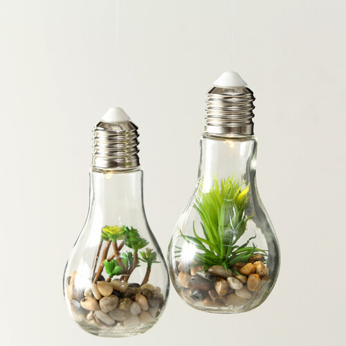 Декоративный подвесной светильник - флорариум Лампочка с Крассулой 18 см, теплая белая LED подсветка, стекло, IP20 Boltze