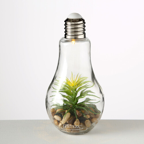 Декоративный светильник - флорариум Лампочка с Агавой 23 см, теплая белая LED подсветка, стекло, IP20 Boltze