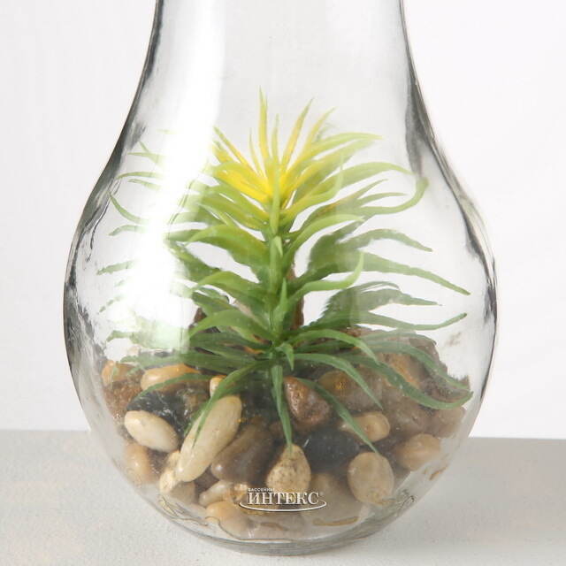 Декоративный светильник - флорариум Лампочка с Агавой 23 см, теплая белая LED подсветка, стекло, IP20 Boltze