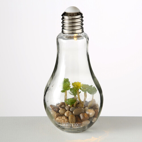 Декоративный светильник - флорариум Лампочка с Крассулой 23 см, теплая белая LED подсветка, стекло, IP20 Boltze