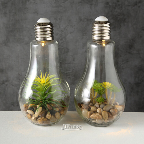 Декоративный светильник - флорариум Лампочка с Агавой 23 см, теплая белая LED подсветка, стекло, IP20 Boltze
