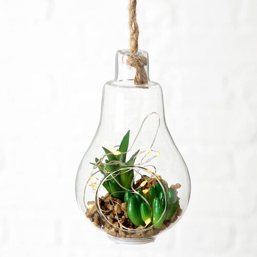 Декоративный подвесной светильник - флорариум с суккулентами Адромискус и Крассула 12 см, IP20 Boltze