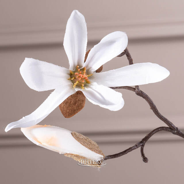 Ветка Магнолии белая 45 см Edelman