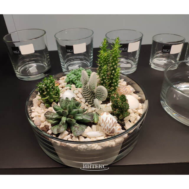 Плоская ваза Пенелопа 19*8 см, стекло Edelman (Эдельман)