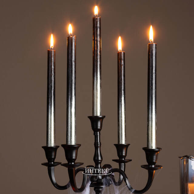 Набор столовых свечей Renee 25 см, 2 шт, черный Koopman